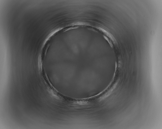 X0000112011117200908101336