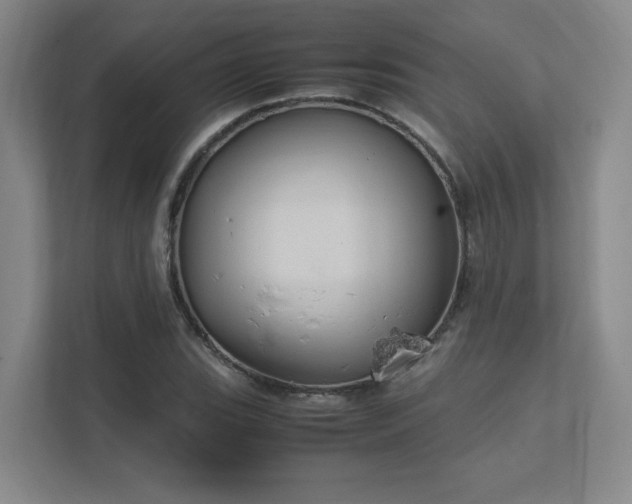 X0000112011119200908101336