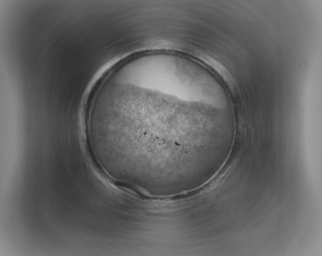 X0000112011120200908101336