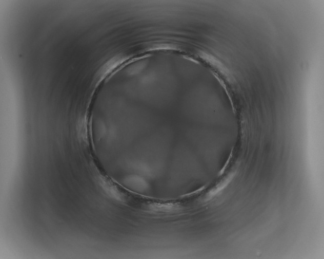 X0000112011121200908101336