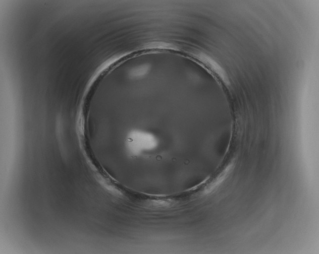 X0000112011125200908101336