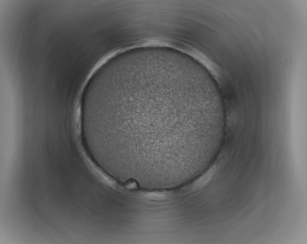 X0000112011126200908101336