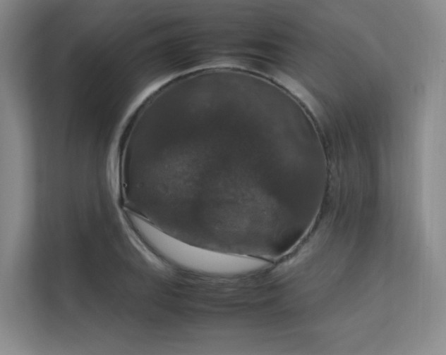 X0000112011127200908101336