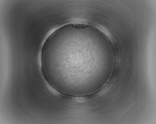 X0000112011128200908101336