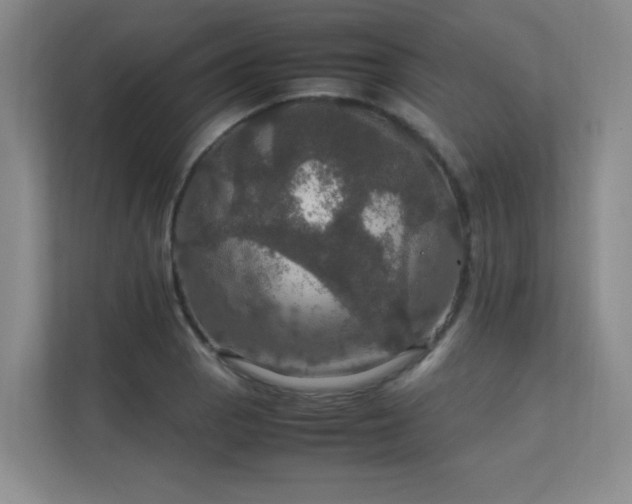 X0000112011129200908101336