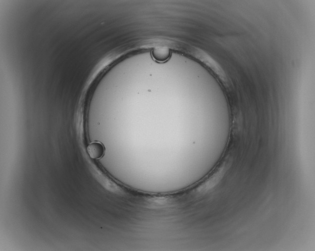 X0000112011130200908101337