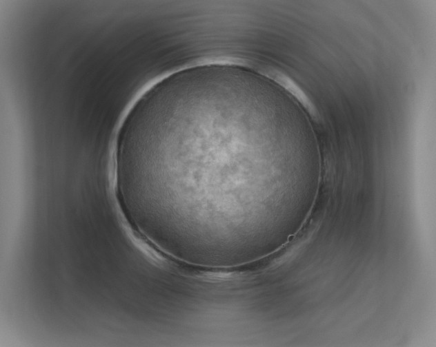 X0000112011132200908101337