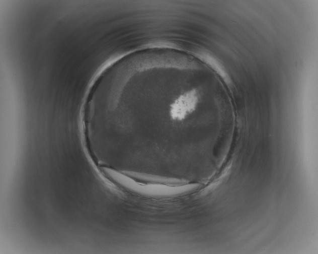 X0000112011133200908101337