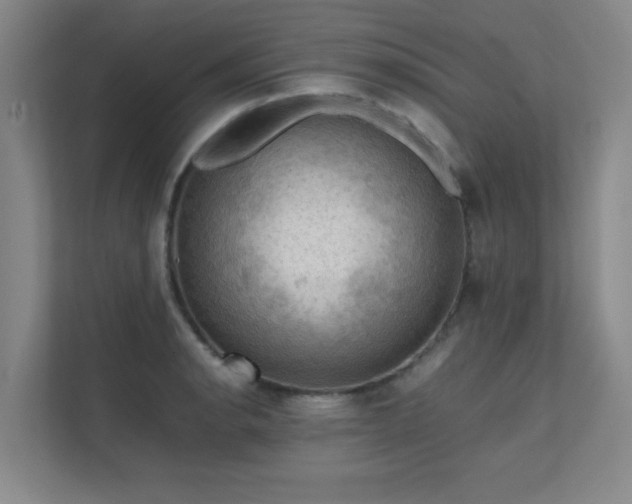 X0000112011134200908101337