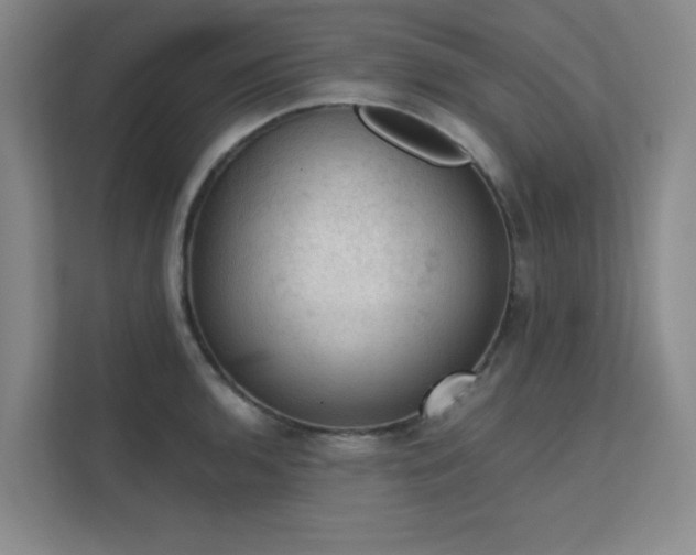 X0000112011136200908101337