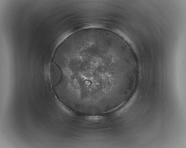 X0000112011137200908101337