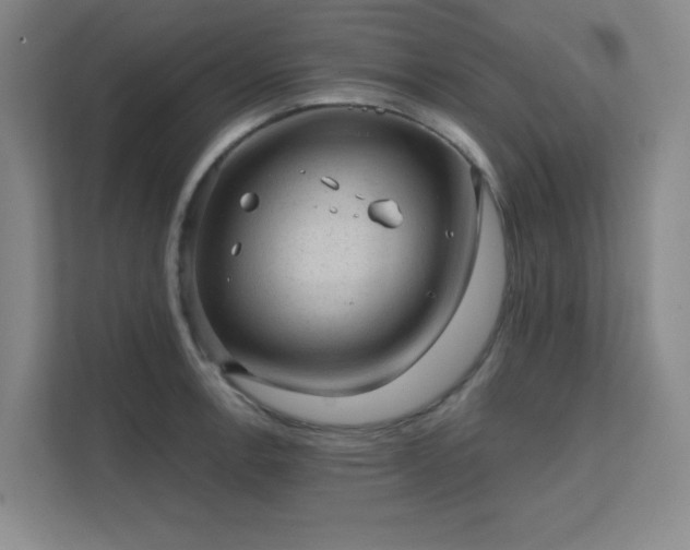 X0000112011138200908101337