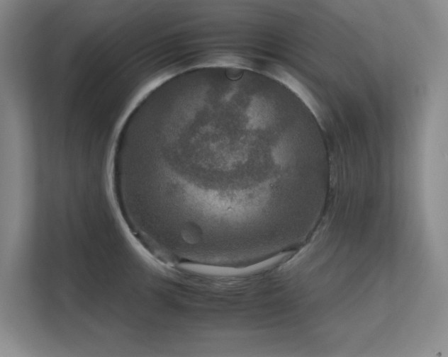 X0000112011139200908101337