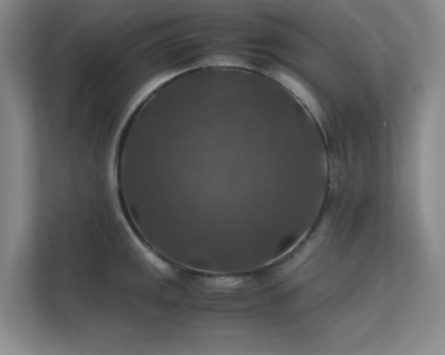 X0000112011141200908101337