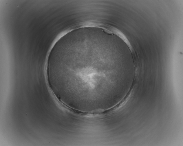 X0000112011146200908101337