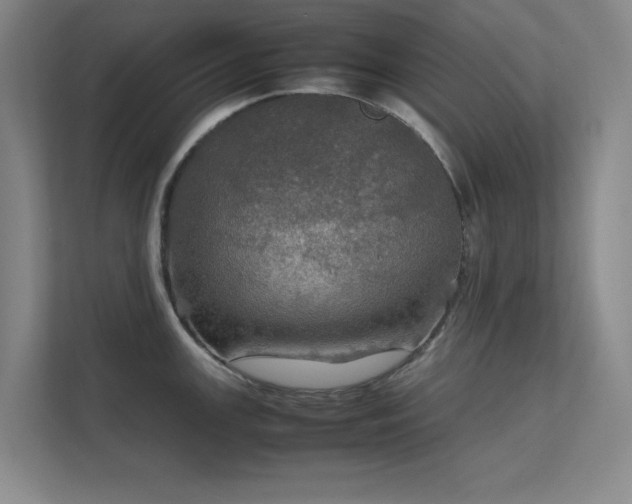 X0000112011147200908101337