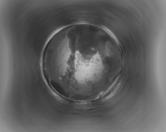 X0000112011149200908101337