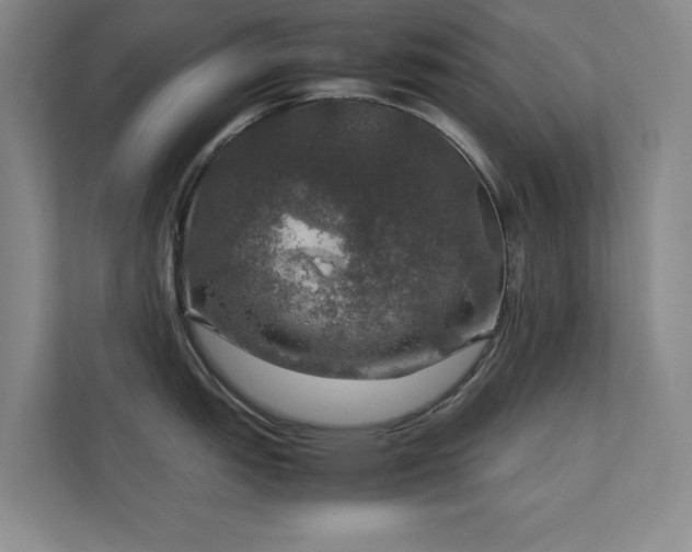 X0000112011151200908101337