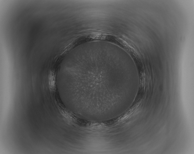 X0000112011154200908101336