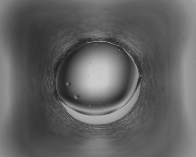 X0000112011157200908101336