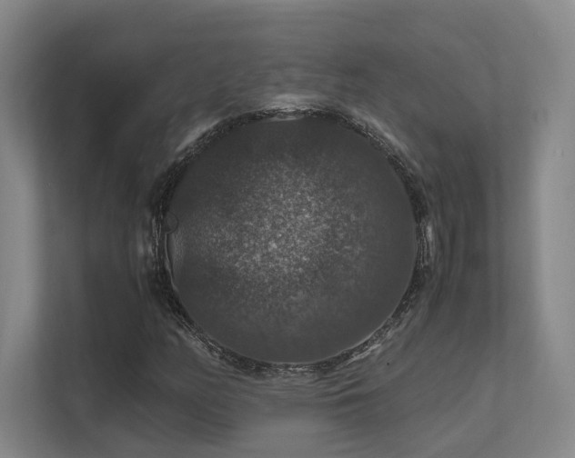 X0000112011158200908101336