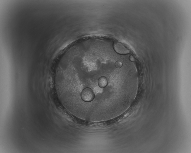 X0000112011159200908101336