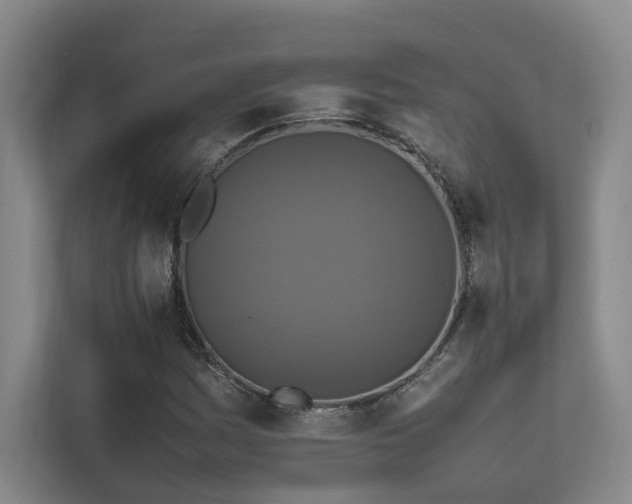 X0000112011161200908101336