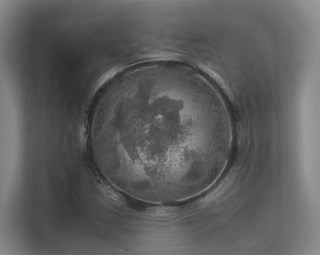 X0000112011163200908101336