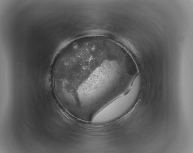 X0000112011164200908101336