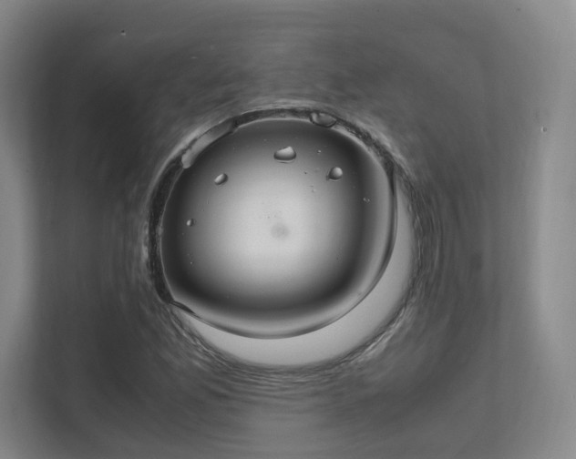 X0000112011165200908101336