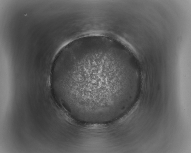 X0000112011166200908101336