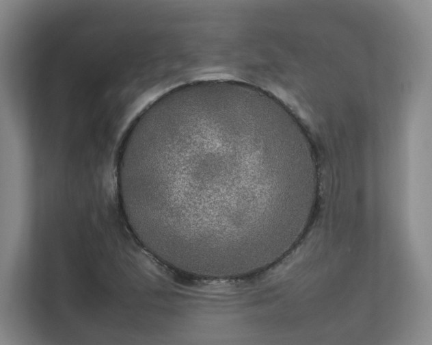 X0000112011167200908101336