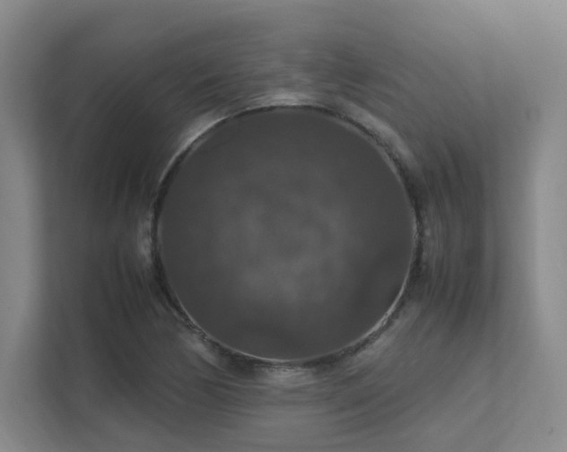 X0000112011170200908101336