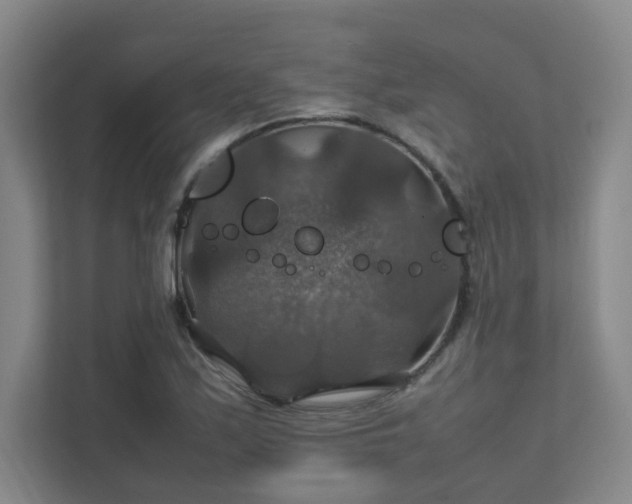 X0000112011171200908101336