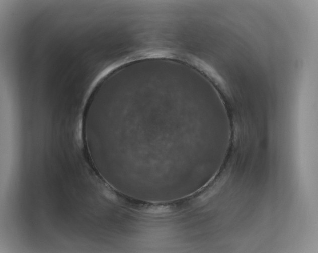 X0000112011174200908101336