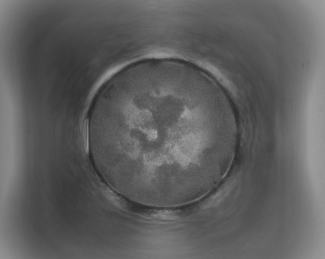 X0000112011175200908101336