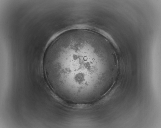 X0000112011176200908101336