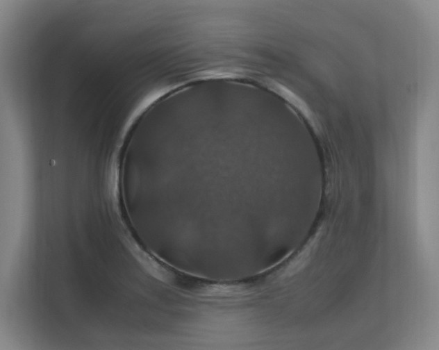 X0000112011179200908101336