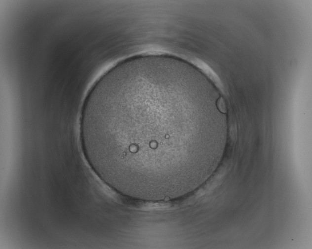 X0000112011183200908101336