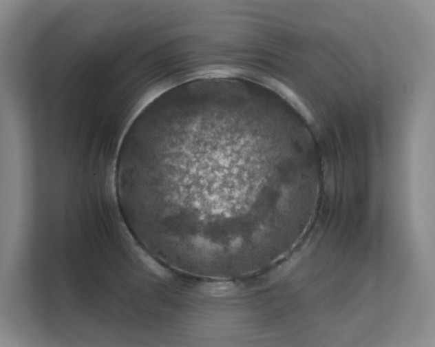 X0000112011186200908101336