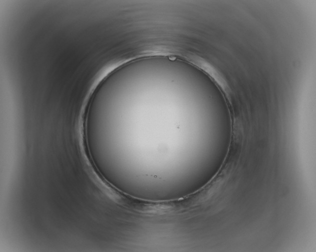 X0000112011187200908101336