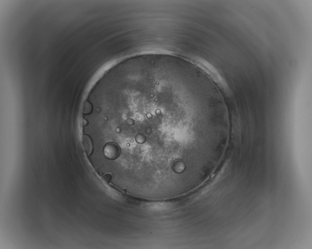 X0000112011188200908101336