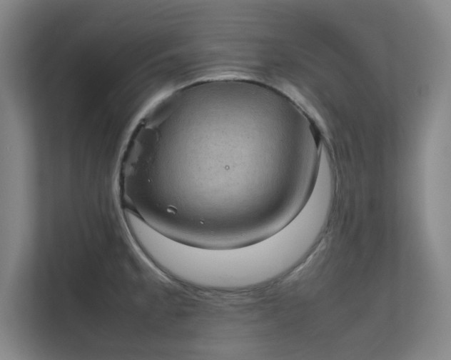 X0000112011189200908101336