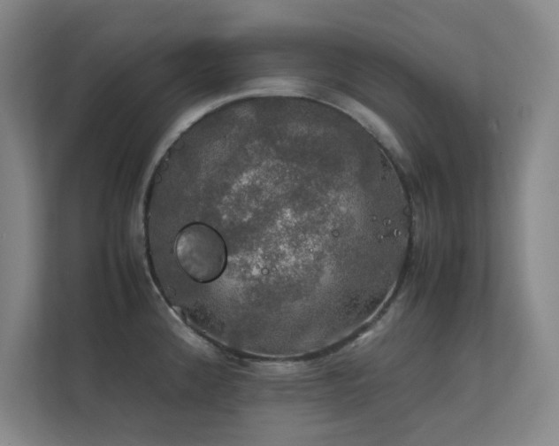 X0000112011192200908101336