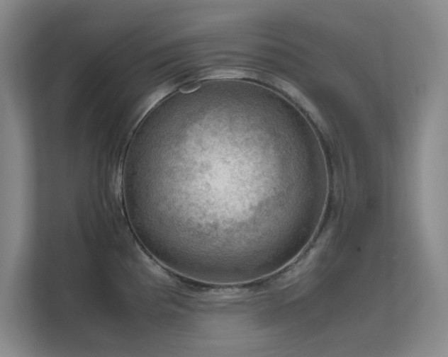 X0000112011193200908101336