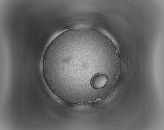 X0000112011195200908101336