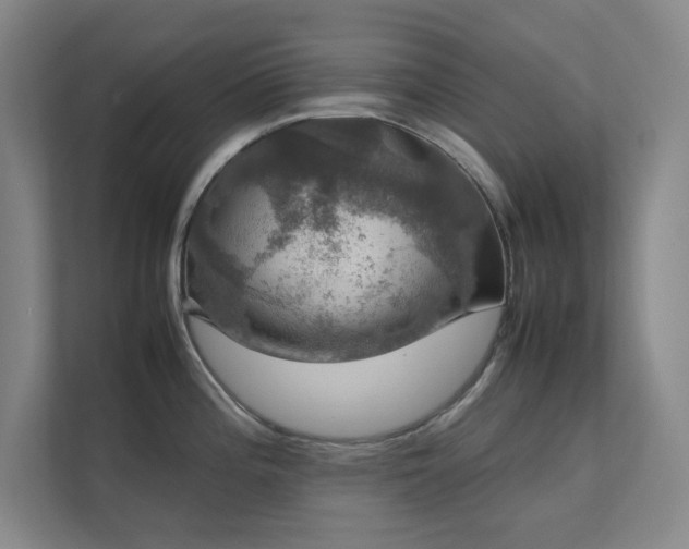 X0000112011196200908101336