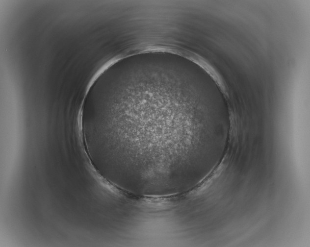 X0000112011198200908101336