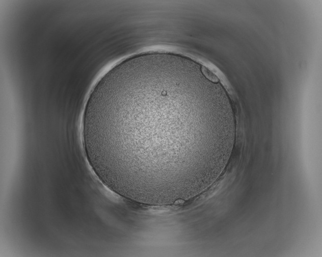 X0000112011199200908101336