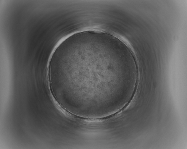 X0000112011200200908101336